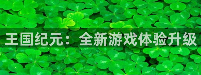 28大神怎么用不了：王国纪元：全新游戏体验升级